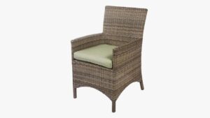 Bonita Collection - Armed Dining Chair in Willow